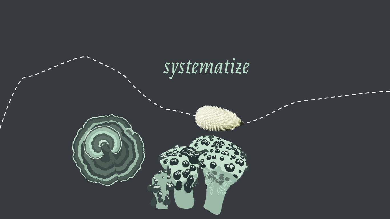 Systematize